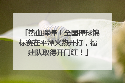 热血挥棒！全国棒球锦标赛在平潭火热开打，福建队取得开门红！