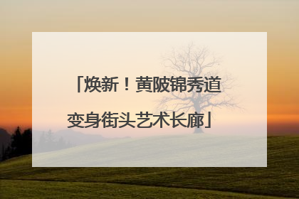 焕新！黄陂锦秀道变身街头艺术长廊