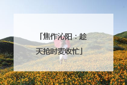 焦作沁阳：趁天抢时麦收忙