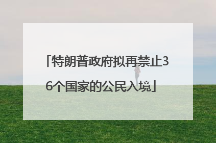 特朗普政府拟再禁止36个国家的公民入境