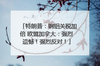 特朗普：钢铝关税加倍 欧盟加拿大：强烈遗憾！强烈反对！