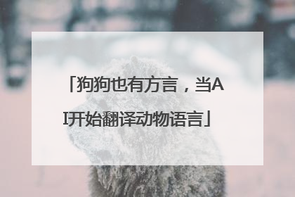 狗狗也有方言，当AI开始翻译动物语言
