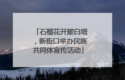 石榴花开耀白塔，新街口举办民族共同体宣传活动