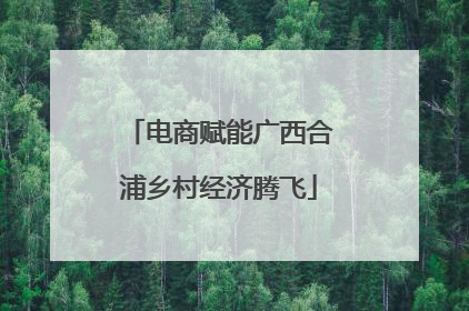 电商赋能广西合浦乡村经济腾飞