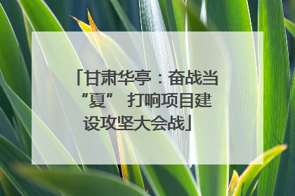 甘肃华亭：奋战当“夏” 打响项目建设攻坚大会战
