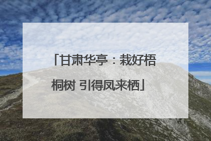 甘肃华亭：栽好梧桐树 引得凤来栖