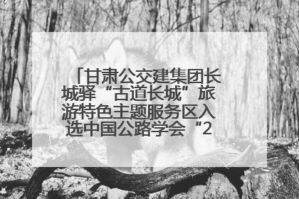 甘肃公交建集团长城驿“古道长城”旅游特色主题服务区入选中国公路学会“2025年度交通与旅游融合创新项目”