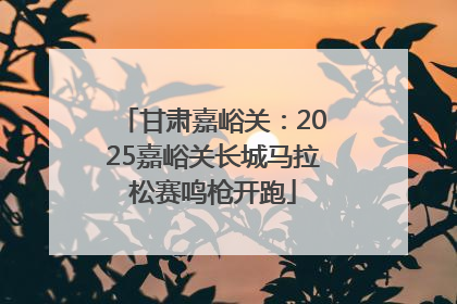 甘肃嘉峪关：2025嘉峪关长城马拉松赛鸣枪开跑