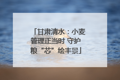 甘肃清水：小麦管理正当时 守护粮“芯”绘丰景