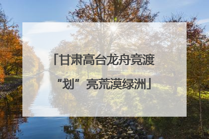 甘肃高台龙舟竞渡“划”亮荒漠绿洲
