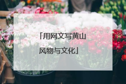 用网文写黄山风物与文化