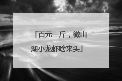 百元一斤，微山湖小龙虾啥来头