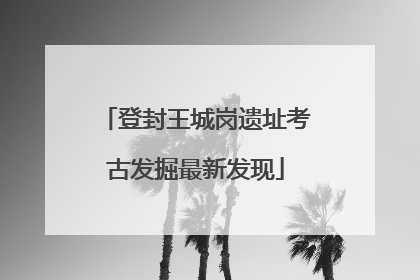 登封王城岗遗址考古发掘最新发现