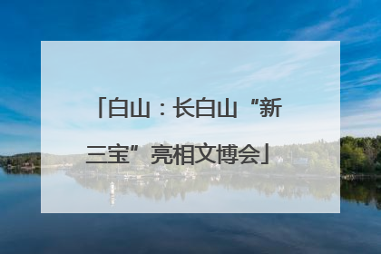 白山：长白山“新三宝”亮相文博会