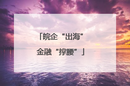 皖企“出海” 金融“撑腰”