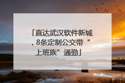 直达武汉软件新城，8条定制公交带“上班族”通勤