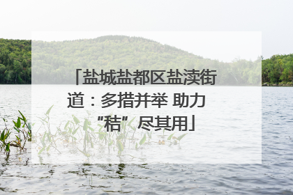 盐城盐都区盐渎街道：多措并举 助力“秸”尽其用