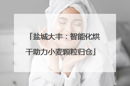 盐城大丰：智能化烘干助力小麦颗粒归仓