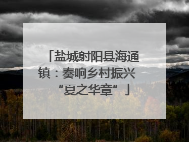 盐城射阳县海通镇：奏响乡村振兴“夏之华章”