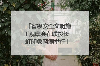 省级安全文明施工观摩会在联投长虹印象圆满举行