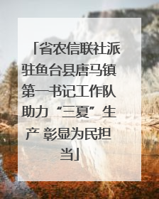 省农信联社派驻鱼台县唐马镇第一书记工作队助力“三夏”生产 彰显为民担当