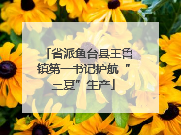 省派鱼台县王鲁镇第一书记护航“三夏”生产