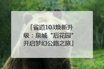 省道103焕新升级：泉城“后花园”开启梦幻公路之旅