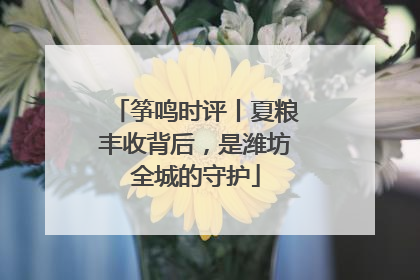 筝鸣时评丨夏粮丰收背后，是潍坊全城的守护