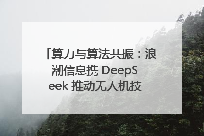算力与算法共振：浪潮信息携 DeepSeek 推动无人机技术在舟山落地