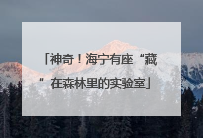 神奇！海宁有座“藏”在森林里的实验室