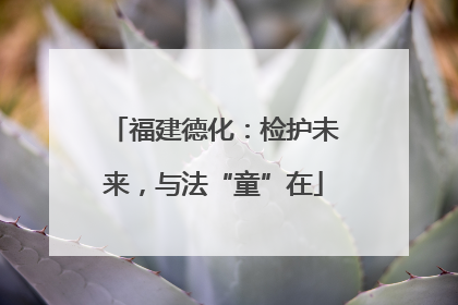 福建德化：检护未来，与法“童”在