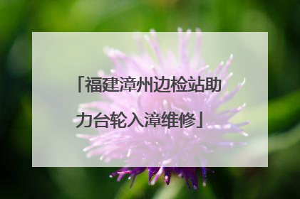 福建漳州边检站助力台轮入漳维修