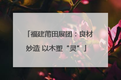 福建莆田展团：良材妙造 以木塑“灵”