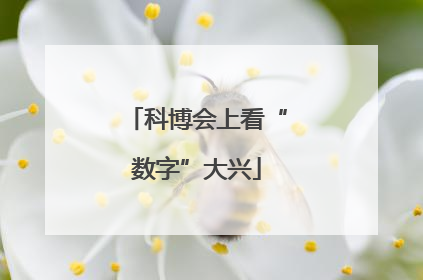 科博会上看“数字”大兴