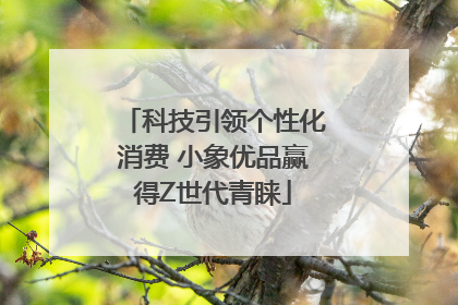 科技引领个性化消费 小象优品赢得Z世代青睐