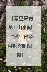 秦皇岛青龙：山水间“播”出乡村振兴新图景