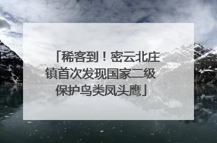 稀客到！密云北庄镇首次发现国家二级保护鸟类凤头鹰