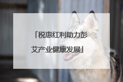 税惠红利助力彭艾产业健康发展