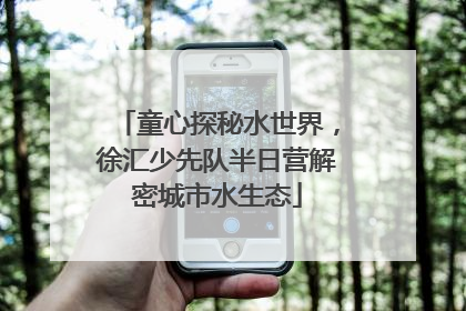 童心探秘水世界，徐汇少先队半日营解密城市水生态