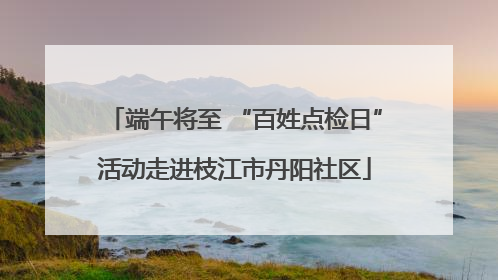 端午将至 “百姓点检日”活动走进枝江市丹阳社区