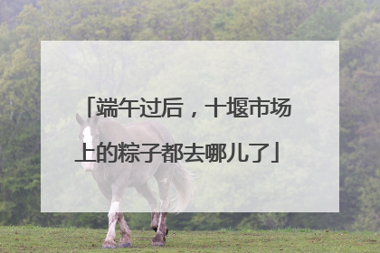 端午过后，十堰市场上的粽子都去哪儿了