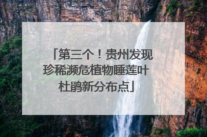 第三个！贵州发现珍稀濒危植物睡莲叶杜鹃新分布点