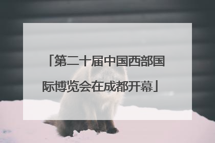 第二十届中国西部国际博览会在成都开幕