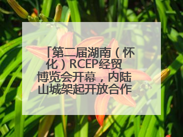 第二届湖南（怀化）RCEP经贸博览会开幕，内陆山城架起开放合作新桥梁