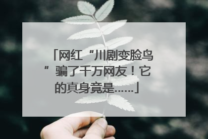 网红“川剧变脸鸟”骗了千万网友！它的真身竟是……