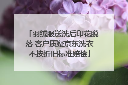 羽绒服送洗后印花脱落 客户质疑京东洗衣不按折旧标准赔偿