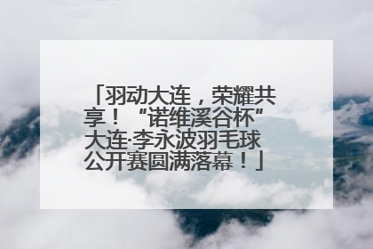 羽动大连，荣耀共享！“诺维溪谷杯”大连·李永波羽毛球公开赛圆满落幕！