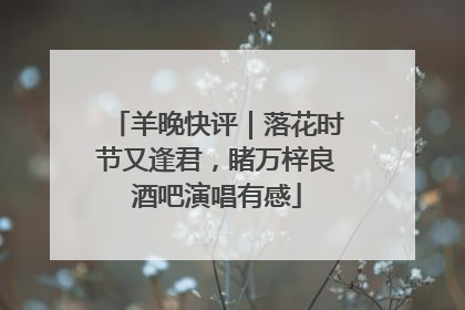 羊晚快评｜落花时节又逢君，睹万梓良酒吧演唱有感