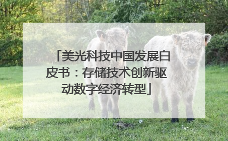 美光科技中国发展白皮书：存储技术创新驱动数字经济转型