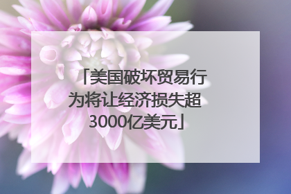 美国破坏贸易行为将让经济损失超3000亿美元